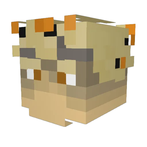 DarkKirby100 Minecraft avatar head, 3D render