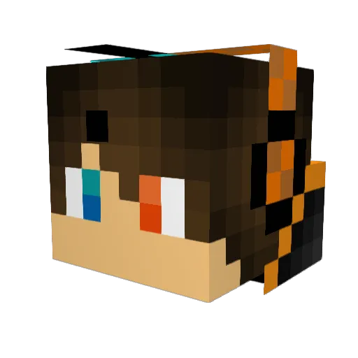 DarkKnight0109 Minecraft avatar head, 3D render
