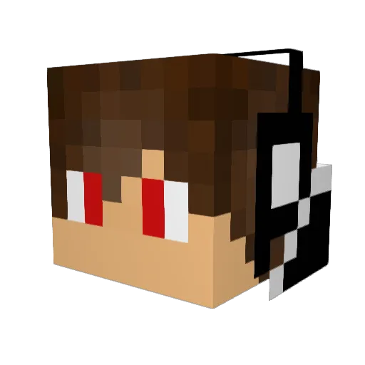 DarkKnight15131 Minecraft avatar head, 3D render