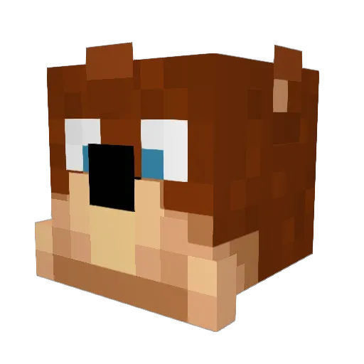 DarkLee_x2 Minecraft avatar head, 3D render
