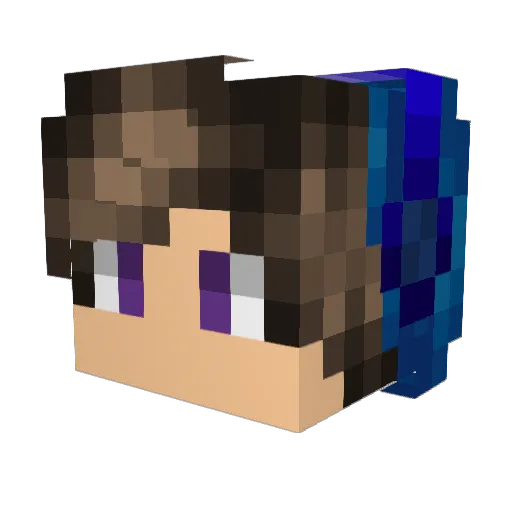 DarkLemon19 Minecraft avatar head, 3D render