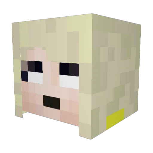 DarkLight1507 Minecraft avatar head, 3D render