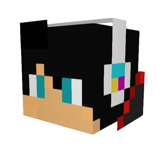 DarkLight_Gamer Minecraft avatar head, 3D render