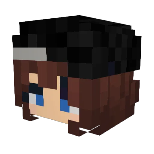 DarkLokia Minecraft avatar head, 3D render