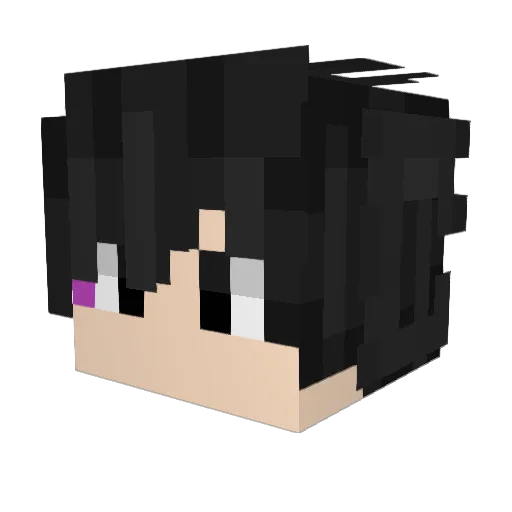 DarkLoop Minecraft avatar head, 3D render