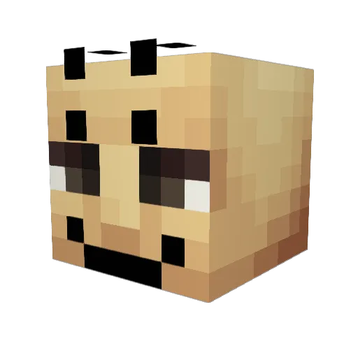 DarkLord808 Minecraft avatar head, 3D render
