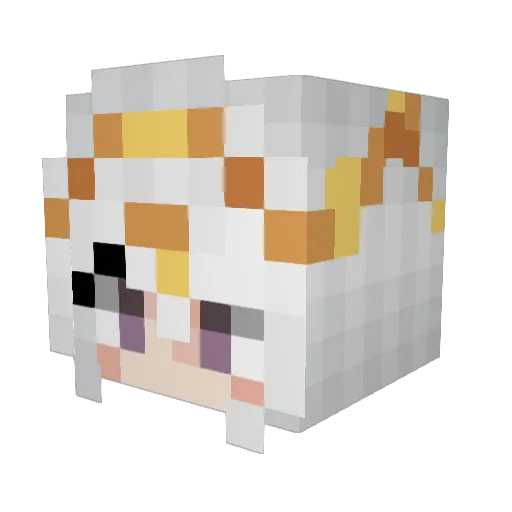 DarkMageRobin Minecraft avatar head, 3D render