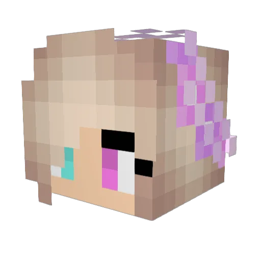 DarkMaster2333 Minecraft avatar head, 3D render