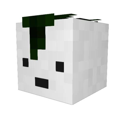 DarkMc22 Minecraft avatar head, 3D render