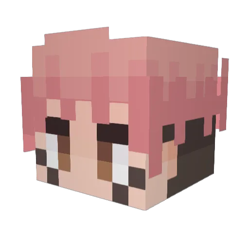 DarkMerlo Minecraft avatar head, 3D render
