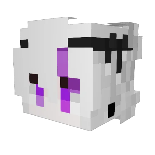 DarkMewMew08 Minecraft avatar head, 3D render