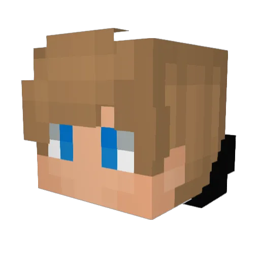DarkMight10 Minecraft avatar head, 3D render