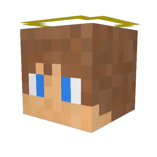 DarkMondi3000 Minecraft avatar head, 3D render