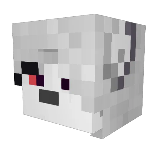 DarkMoonNova Minecraft avatar head, 3D render