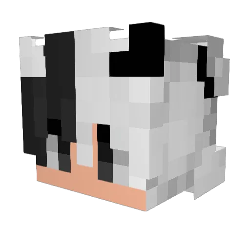 DarkNFocus Minecraft avatar head, 3D render