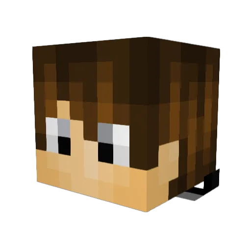 DarkN_ Minecraft avatar head, 3D render