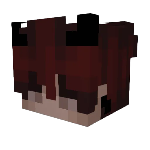 DarkNess2231 Minecraft avatar head, 3D render