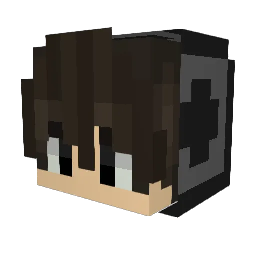 DarkNest7 Minecraft avatar head, 3D render