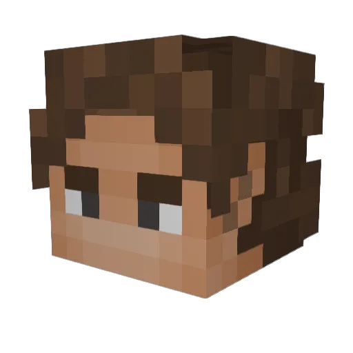DarkNight5567 Minecraft avatar head, 3D render