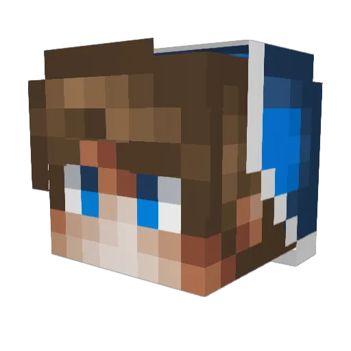 DarkNightAta_ Minecraft avatar head, 3D render