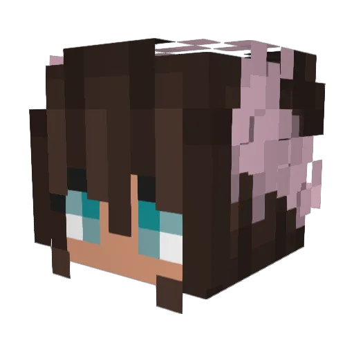 DarkNight_Shade Minecraft avatar head, 3D render