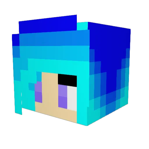 DarkNik01 Minecraft avatar head, 3D render