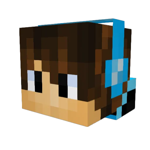 DarkNinja2451 Minecraft avatar head, 3D render