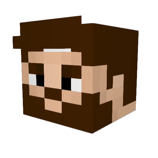 DarkNinja_L Minecraft avatar head, 3D render
