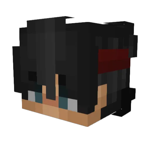 DarkNinjaa Minecraft avatar head, 3D render