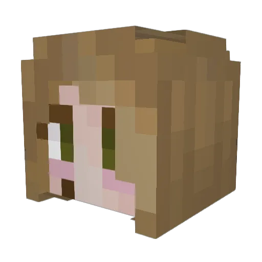DarkNinjaaa Minecraft avatar head, 3D render