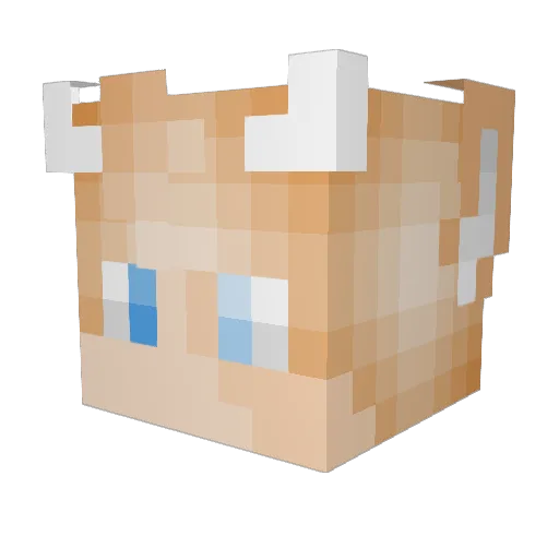 DarkPhantom0012 Minecraft avatar head, 3D render