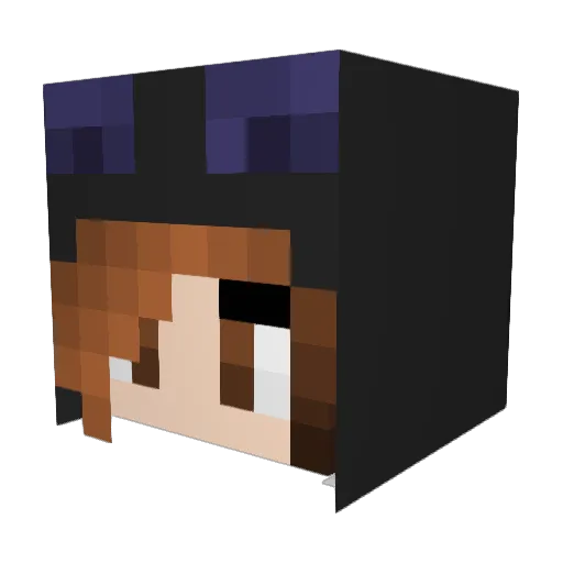 DarkPony Minecraft avatar head, 3D render