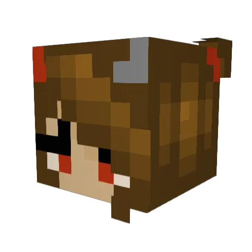 DarkPrincess206 Minecraft avatar head, 3D render