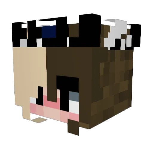 DarkPrincesss Minecraft avatar head, 3D render
