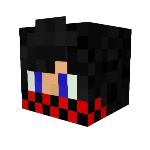 DarkProbe182 Minecraft avatar head, 3D render