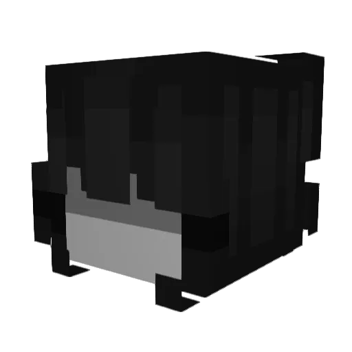 DarkQueen200 Minecraft avatar head, 3D render