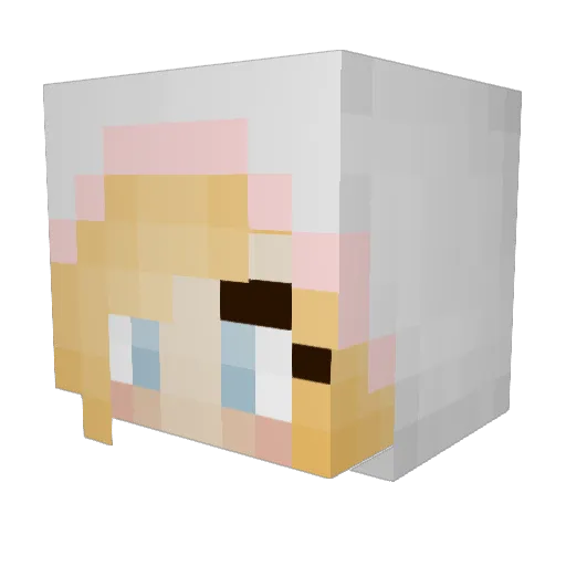 DarkRaritY Minecraft avatar head, 3D render