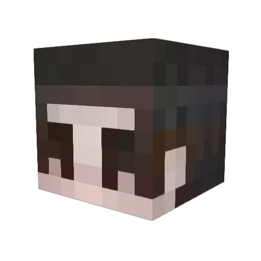 DarkReaper0 Minecraft avatar head, 3D render