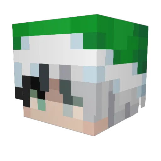 DarkRexN Minecraft avatar head, 3D render