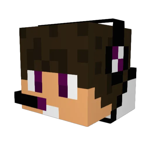 DarkRikuX Minecraft avatar head, 3D render