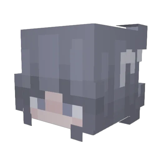 DarkRoses1x Minecraft avatar head, 3D render