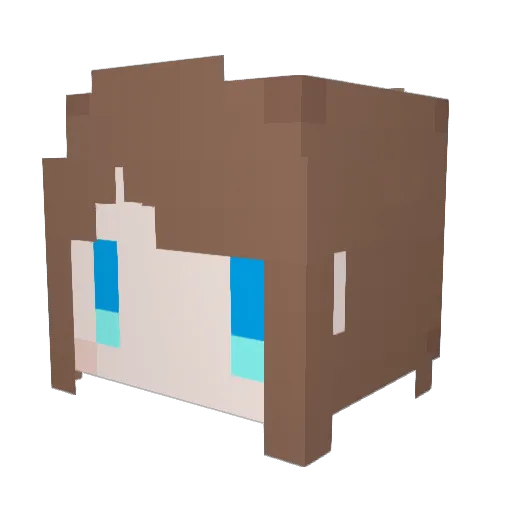 DarkSchnee Minecraft avatar head, 3D render