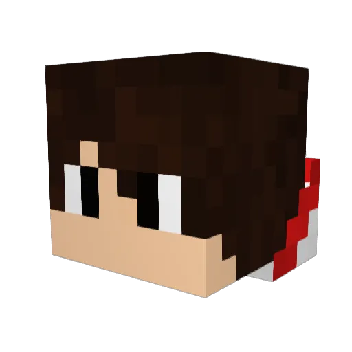 DarkShad0W303 Minecraft avatar head, 3D render