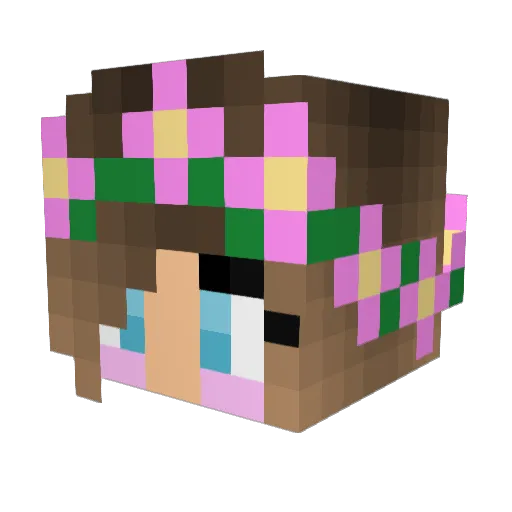 DarkShadow1248 Minecraft avatar head, 3D render