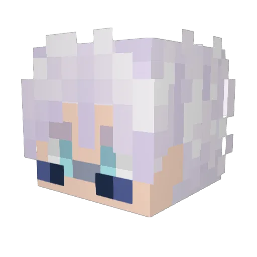 DarkShadowCamper Minecraft avatar head, 3D render