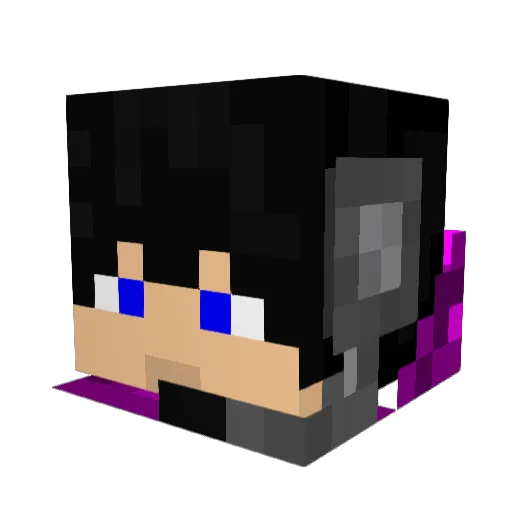 DarkShadowFury Minecraft avatar head, 3D render