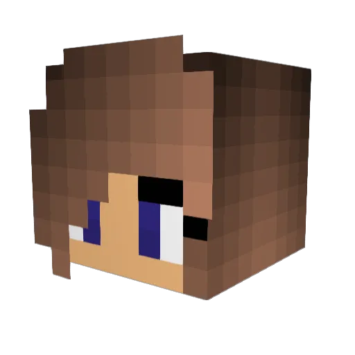 DarkSider1408 Minecraft avatar head, 3D render