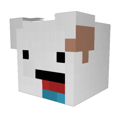 DarkSithCooper Minecraft avatar head, 3D render