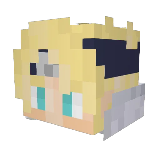 DarkSkyG Minecraft avatar head, 3D render