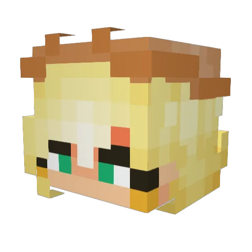 DarkSlime427 Minecraft avatar head, 3D render